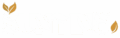 logo blancs removebg preview